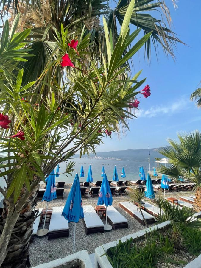 Hotel Azzurro تْشيرسيك نوفي المظهر الخارجي الصورة