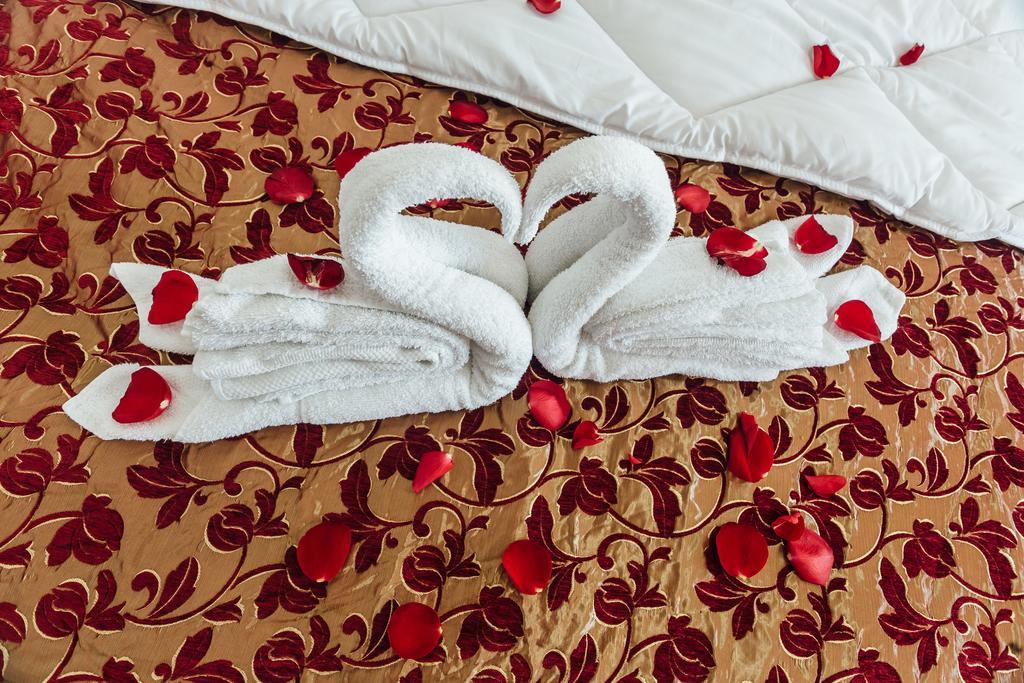 Hotel Azzurro تْشيرسيك نوفي المظهر الخارجي الصورة